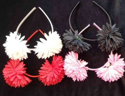cod.amsa 1308 vinchas x 12