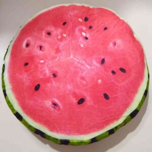 COD.AMSA 2555-2 ALMUADONES CON RELLENO DE VELLON SILICONADO