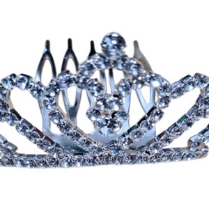 cod amsa 2025-30 corona de estras