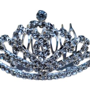 cod amsa 2025-30 corona de estras